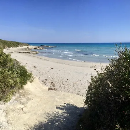 Fontanelle *