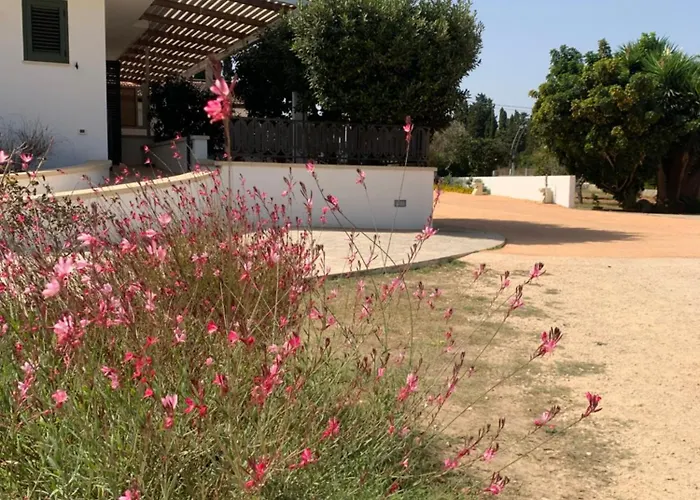 팜스테이 Fontanelle *