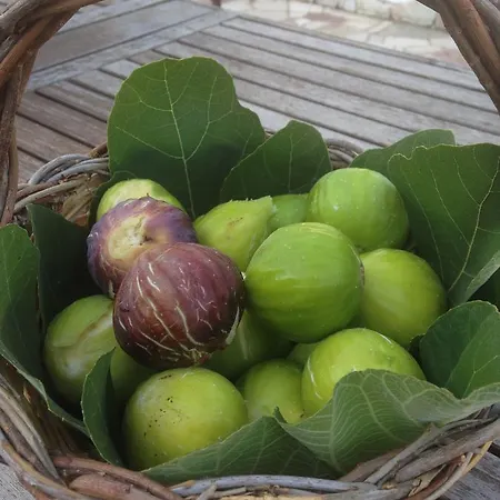 Fontanelle * Otranto