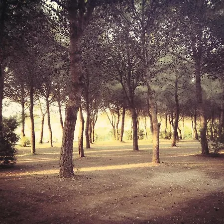 Farm stay Fontanelle