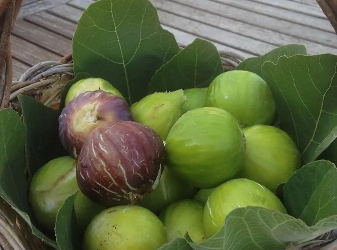 Fontanelle * Otranto